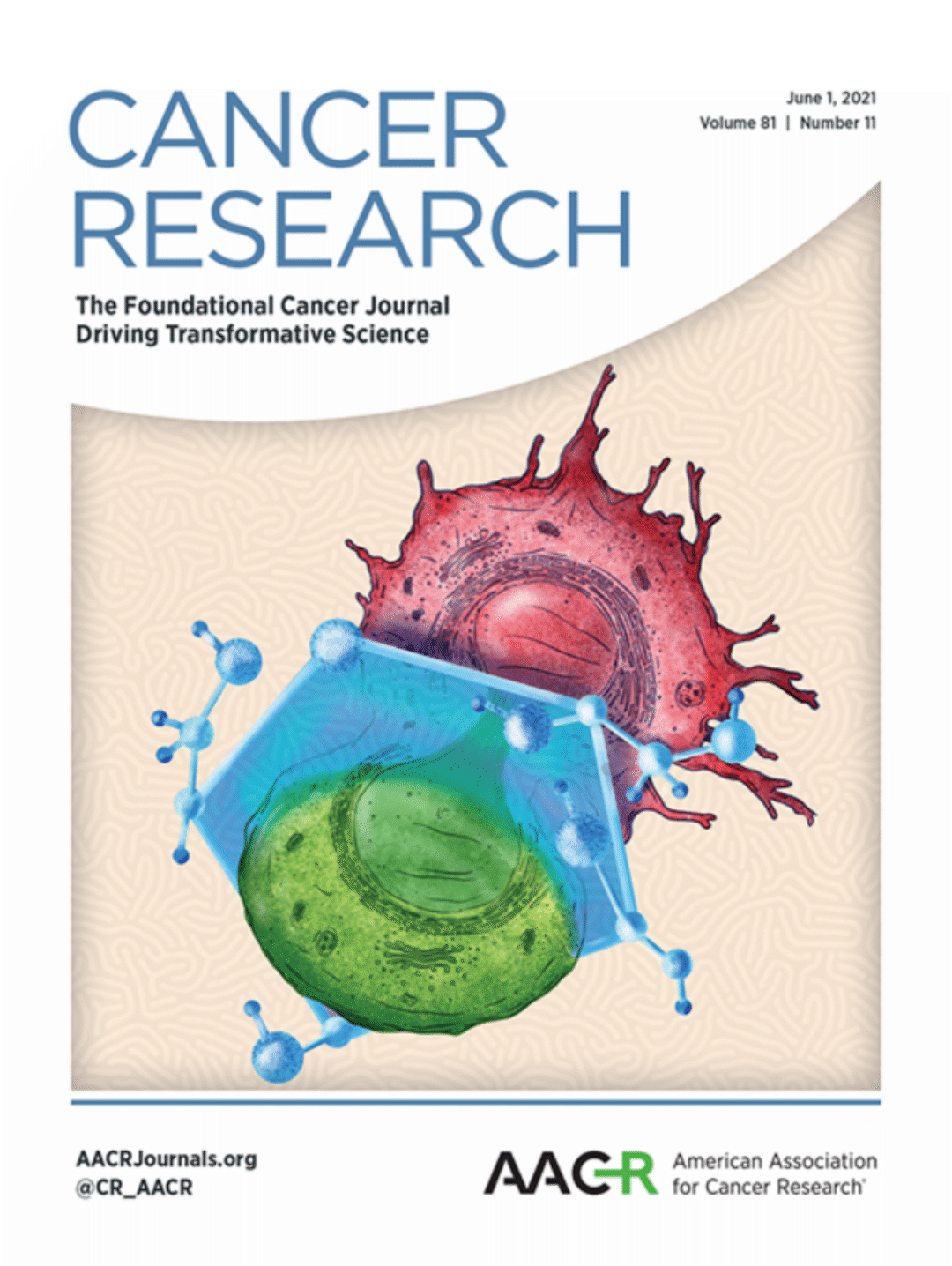 Portada Cancer Research — Ilustración científica celular