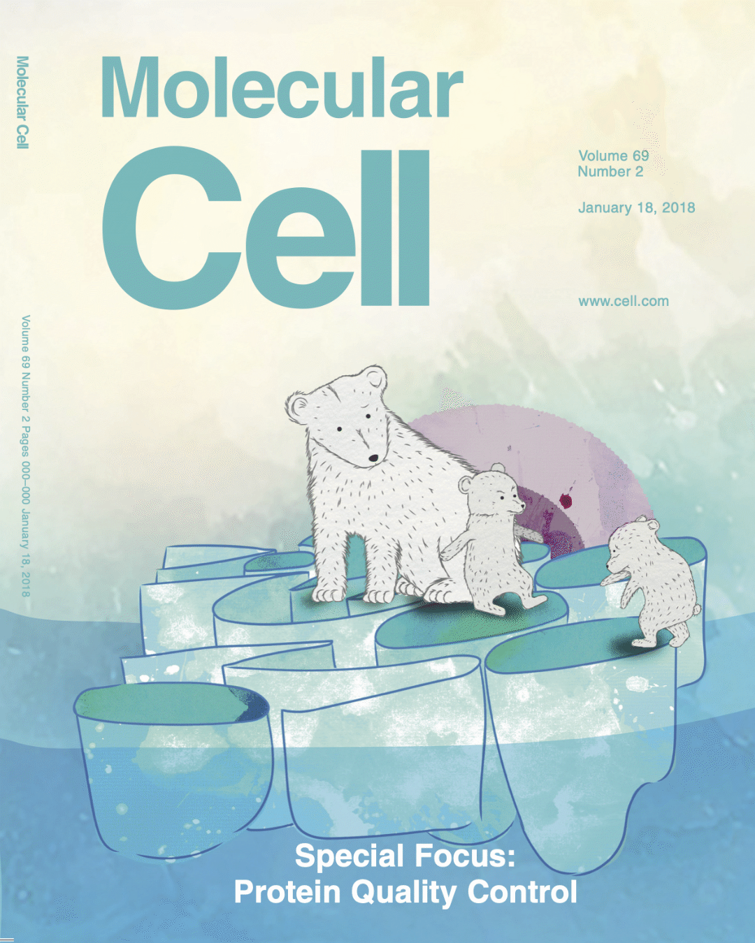 Portada Molecular Cell — Protein Quality Control