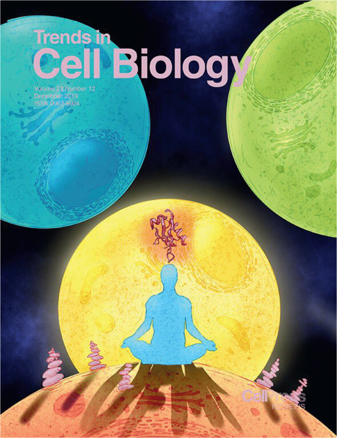 Portada Trends in Cell Biology — Ilustración científica