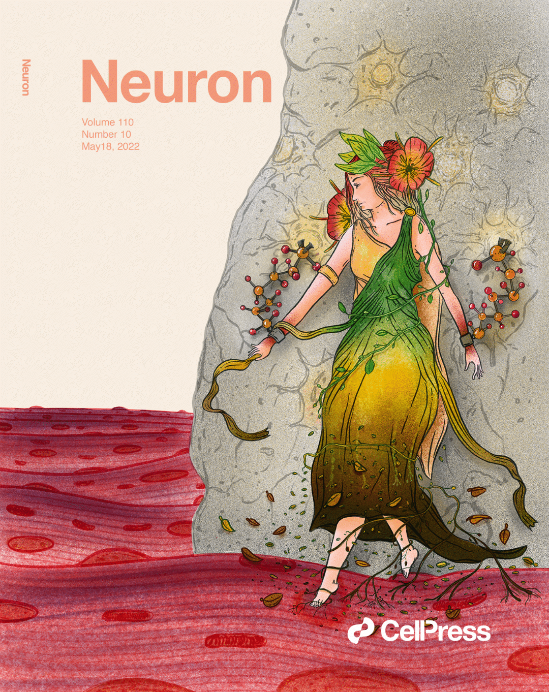 Portada Neuron — CellPress ilustración científica