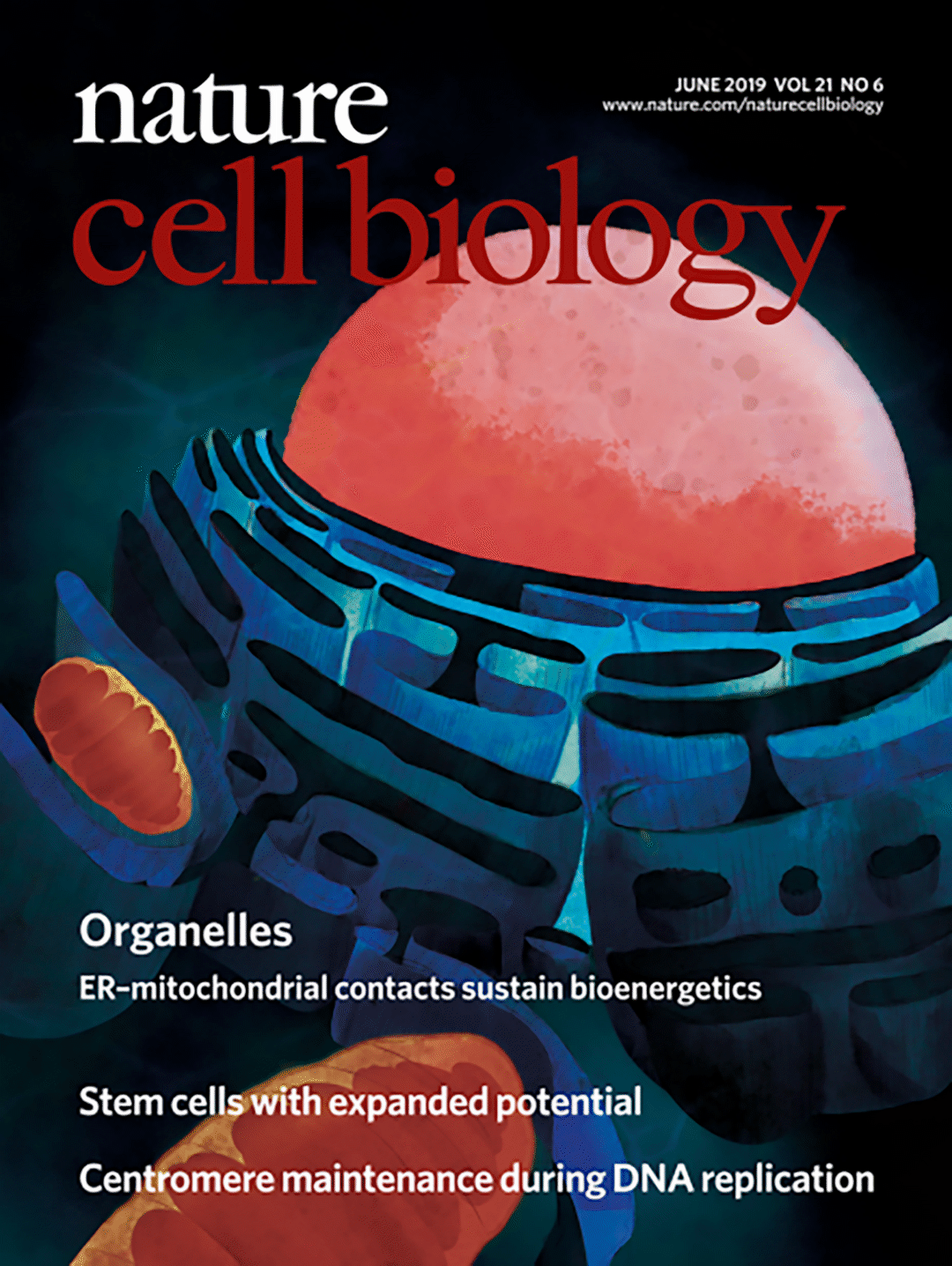 Portada Nature Cell Biology — Organelas mitocondriales