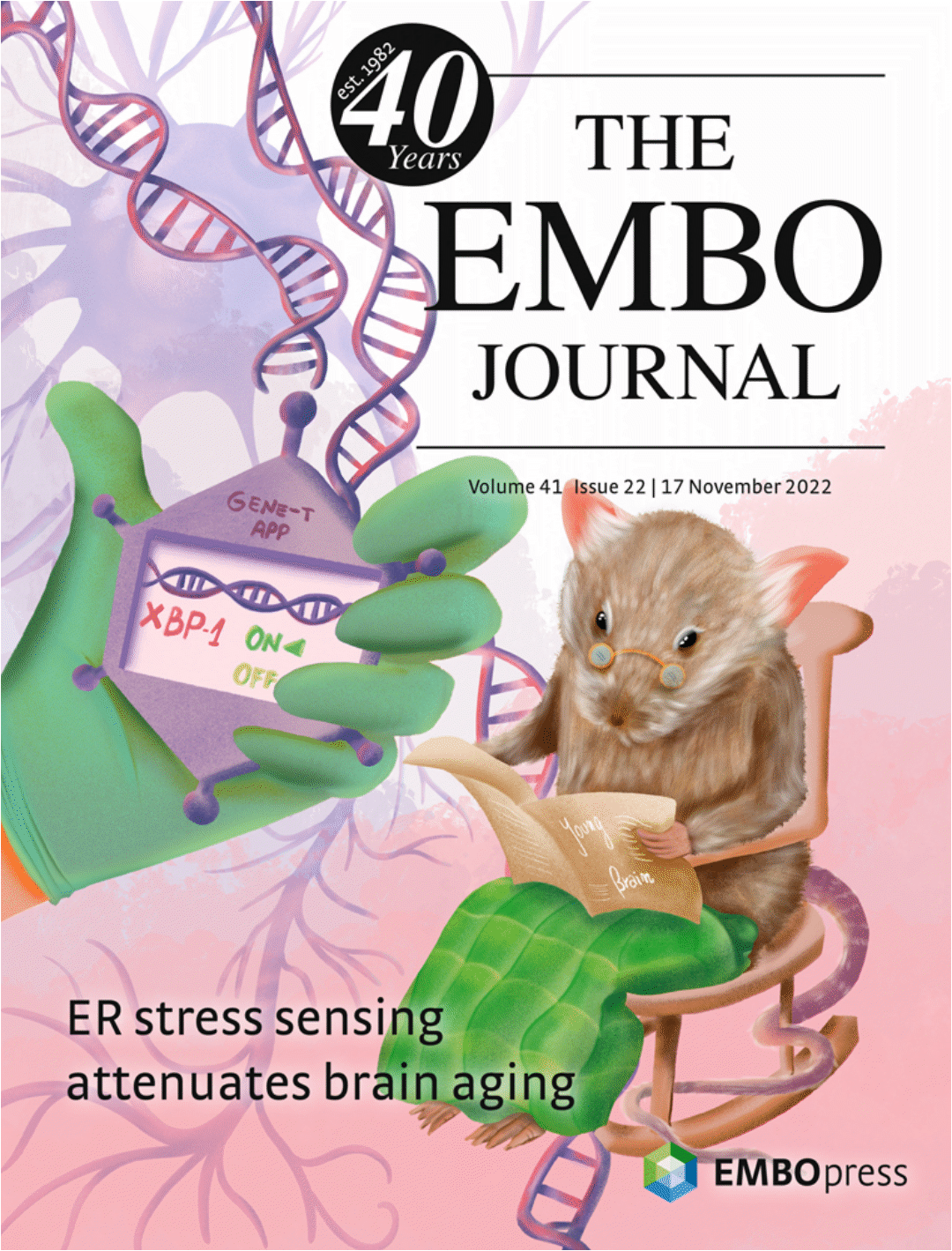 Portada The EMBO Journal — ER stress brain aging