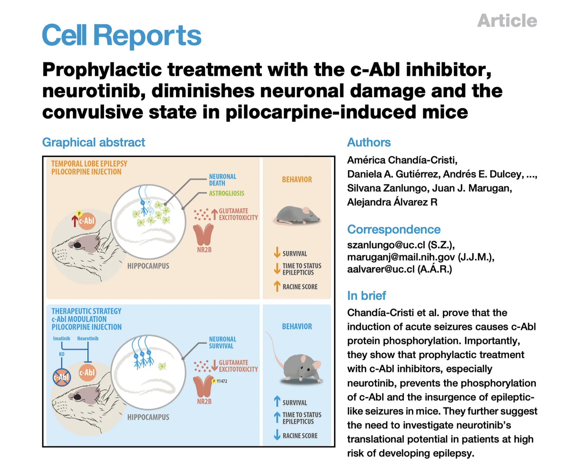 Graphical Abstract Cell Reports c-Abl inhibitor epilepsy