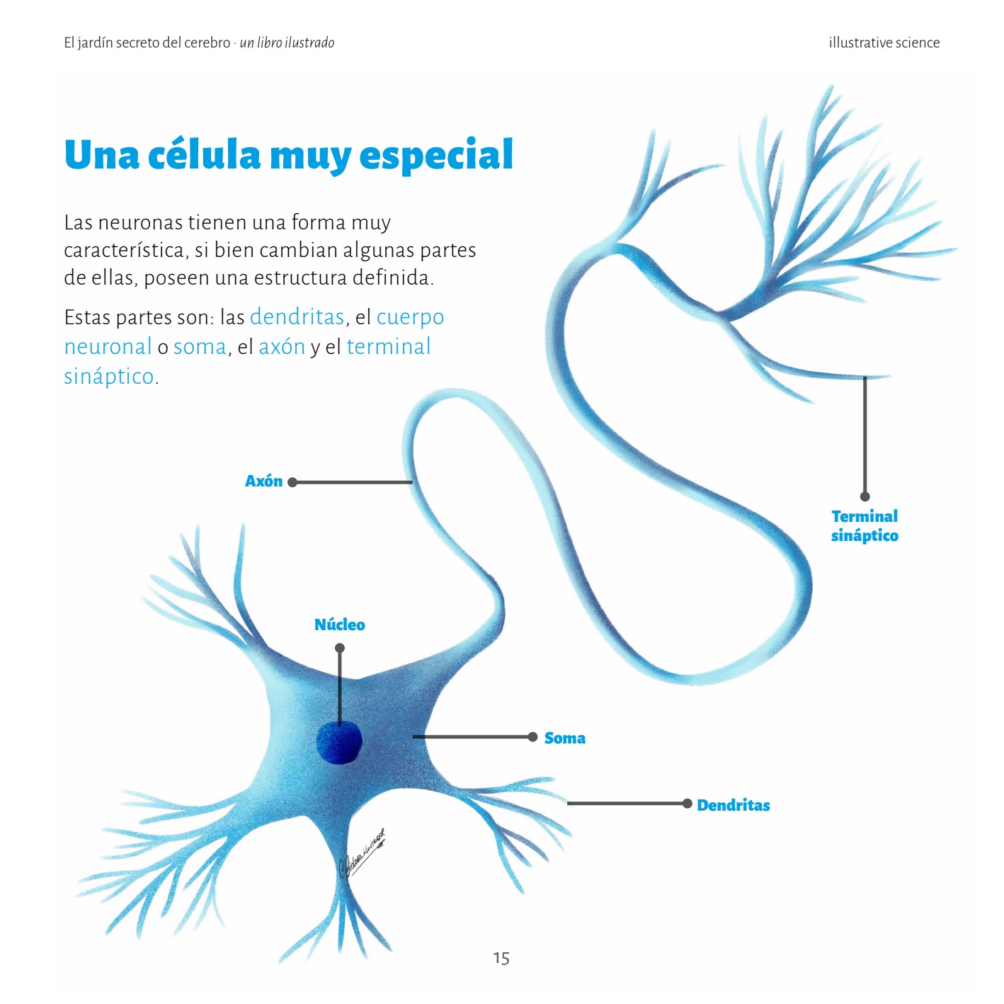 Neurona