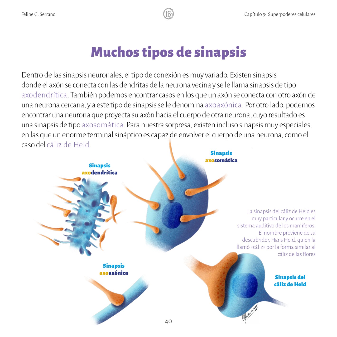 Tipos de sinapsis